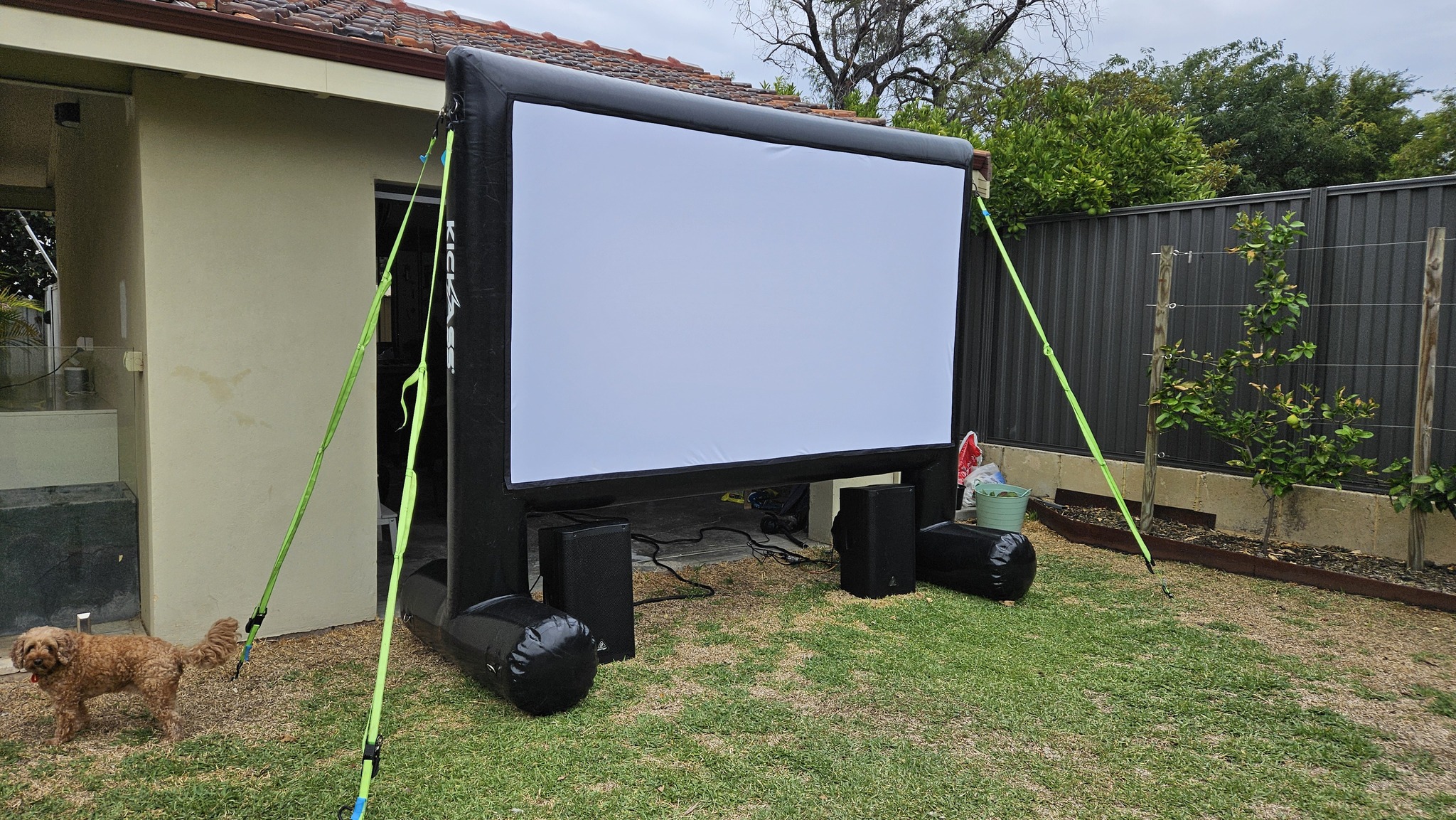 Backyard movie night Perth — outdoor cinema setup in a Perth backyard