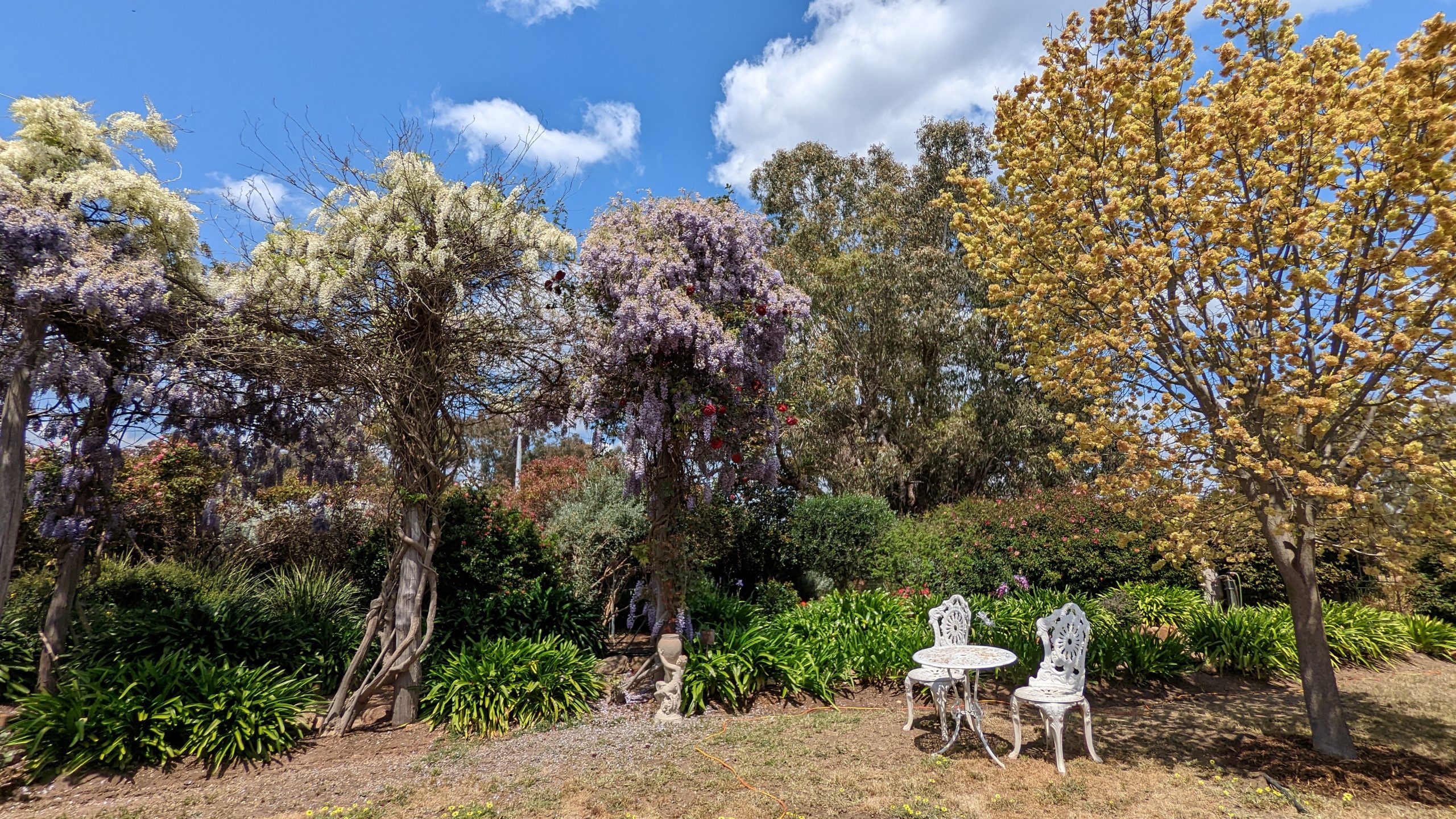 Wedding cinema hire Mandurah — outdoor wedding reception cinema setup